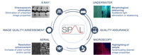 SIPAL portfolio